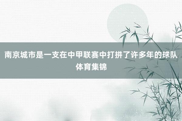南京城市是一支在中甲联赛中打拼了许多年的球队体育集锦