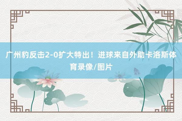 广州豹反击2-0扩大特出！进球来自外助卡洛斯体育录像/图片