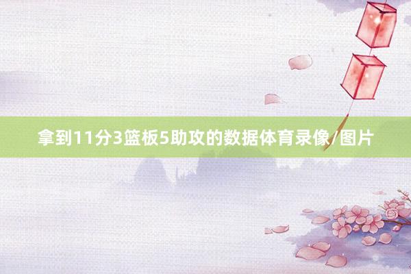 拿到11分3篮板5助攻的数据体育录像/图片