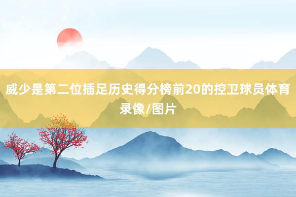 威少是第二位插足历史得分榜前20的控卫球员体育录像/图片