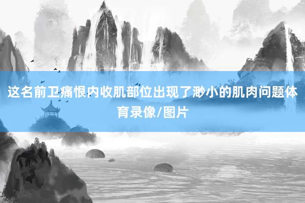 这名前卫痛恨内收肌部位出现了渺小的肌肉问题体育录像/图片