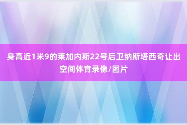 身高近1米9的莱加内斯22号后卫纳斯塔西奇让出空间体育录像/图片