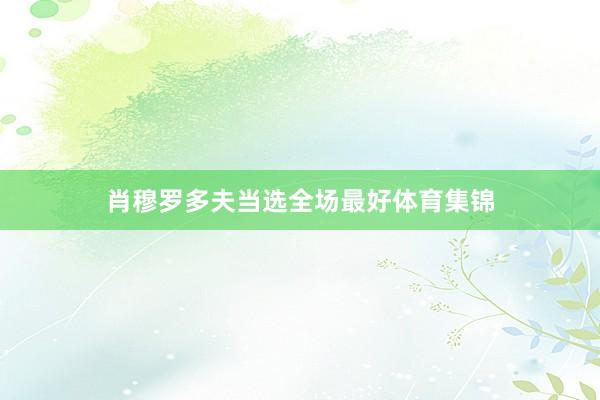肖穆罗多夫当选全场最好体育集锦