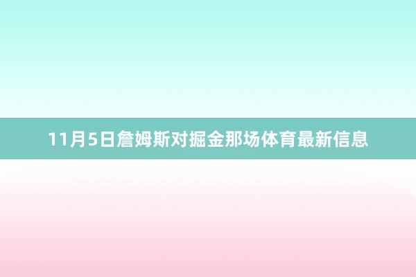 11月5日詹姆斯对掘金那场体育最新信息