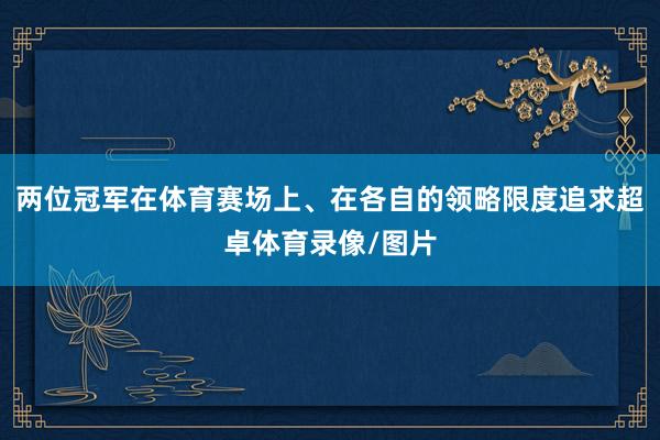 两位冠军在体育赛场上、在各自的领略限度追求超卓体育录像/图片
