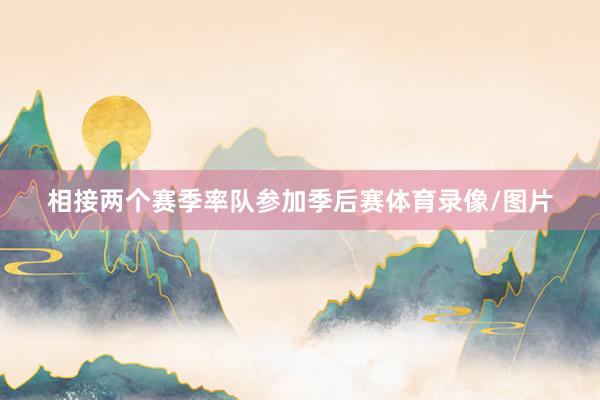 相接两个赛季率队参加季后赛体育录像/图片