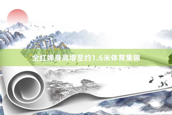 全红婵身高增至约1.6米体育集锦