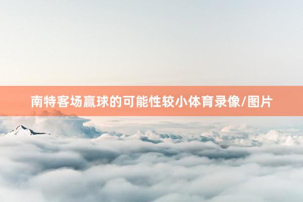南特客场赢球的可能性较小体育录像/图片