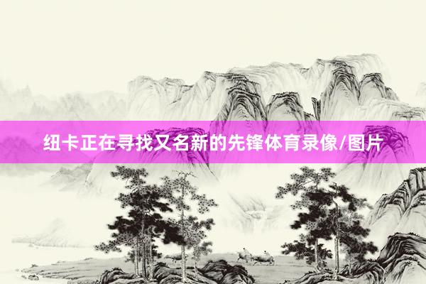纽卡正在寻找又名新的先锋体育录像/图片