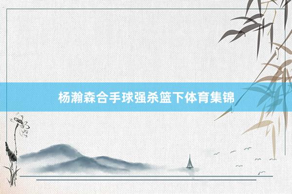 杨瀚森合手球强杀篮下体育集锦