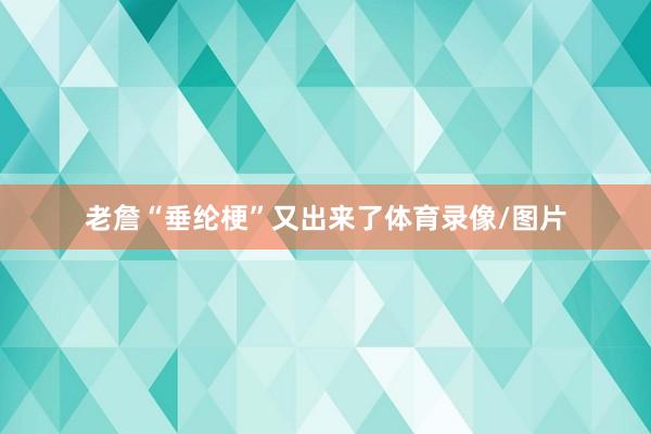 老詹“垂纶梗”又出来了体育录像/图片