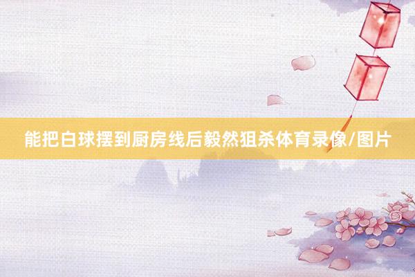 能把白球摆到厨房线后毅然狙杀体育录像/图片