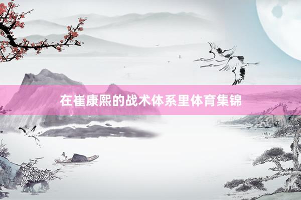 在崔康熙的战术体系里体育集锦