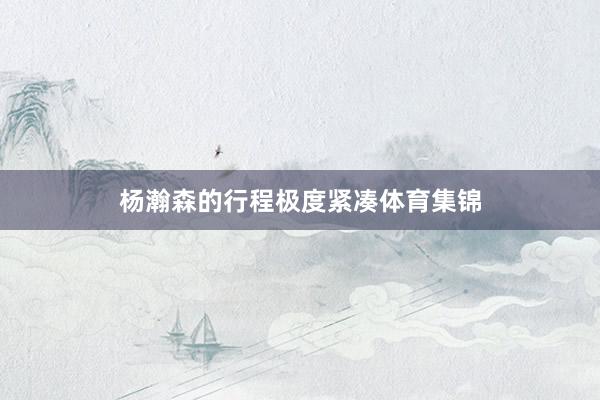 杨瀚森的行程极度紧凑体育集锦