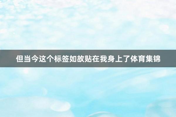 但当今这个标签如故贴在我身上了体育集锦