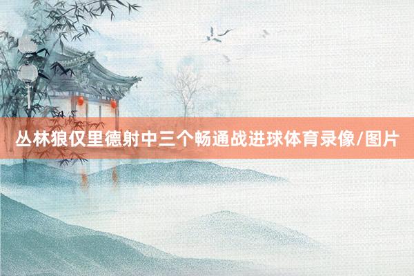 丛林狼仅里德射中三个畅通战进球体育录像/图片