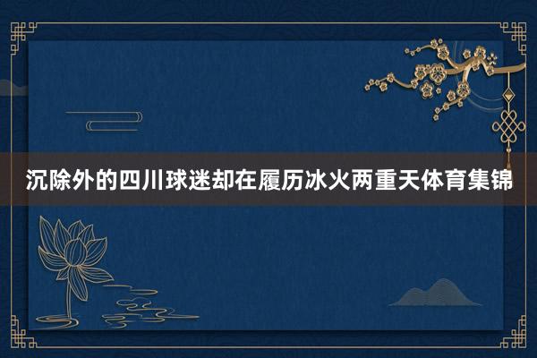 沉除外的四川球迷却在履历冰火两重天体育集锦