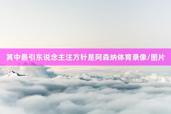 其中最引东说念主注方针是阿森纳体育录像/图片
