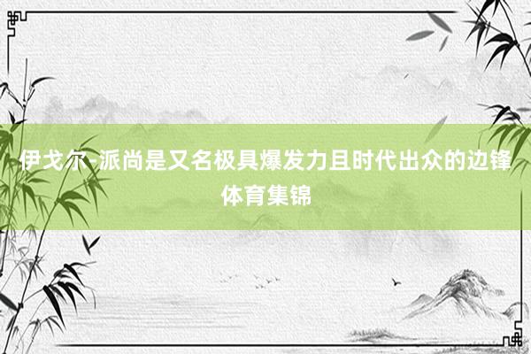 伊戈尔-派尚是又名极具爆发力且时代出众的边锋体育集锦