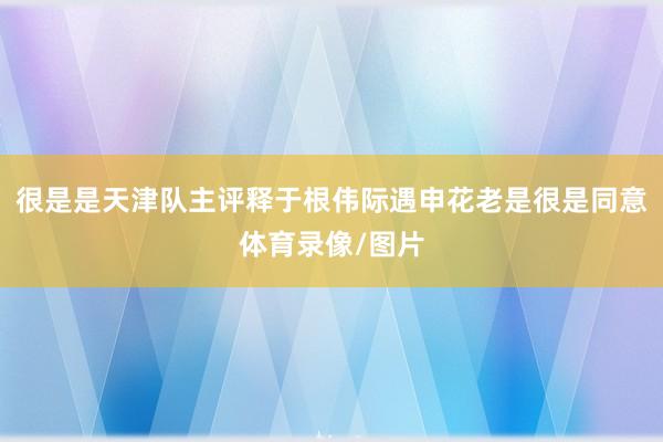 很是是天津队主评释于根伟际遇申花老是很是同意体育录像/图片