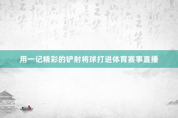 用一记精彩的铲射将球打进体育赛事直播