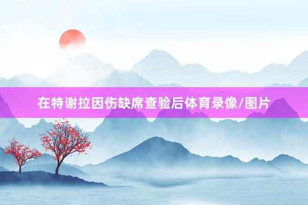 在特谢拉因伤缺席查验后体育录像/图片