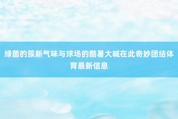 绿茵的簇新气味与球场的酷暑大喊在此奇妙团结体育最新信息
