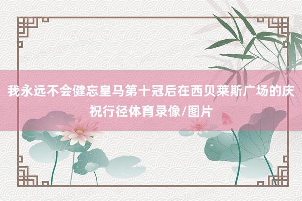 我永远不会健忘皇马第十冠后在西贝莱斯广场的庆祝行径体育录像/图片