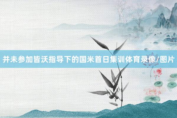 并未参加皆沃指导下的国米首日集训体育录像/图片