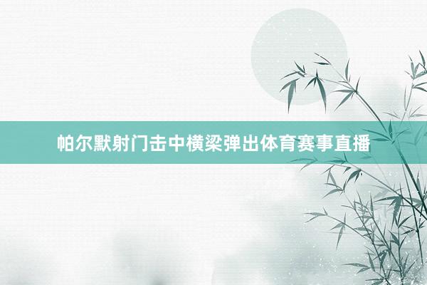 帕尔默射门击中横梁弹出体育赛事直播
