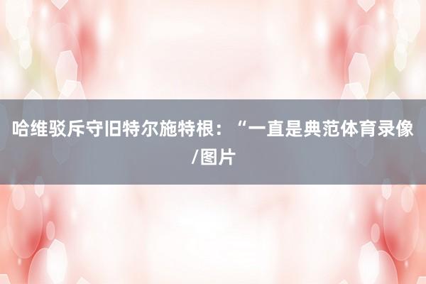 哈维驳斥守旧特尔施特根：“一直是典范体育录像/图片