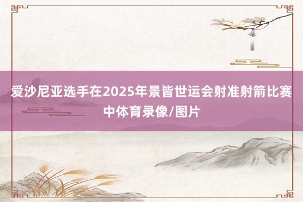 爱沙尼亚选手在2025年景皆世运会射准射箭比赛中体育录像/图片