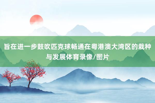 旨在进一步鼓吹匹克球畅通在粤港澳大湾区的栽种与发展体育录像/图片