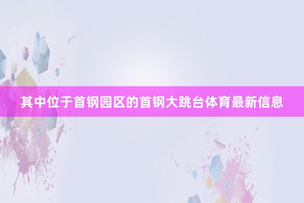 其中位于首钢园区的首钢大跳台体育最新信息