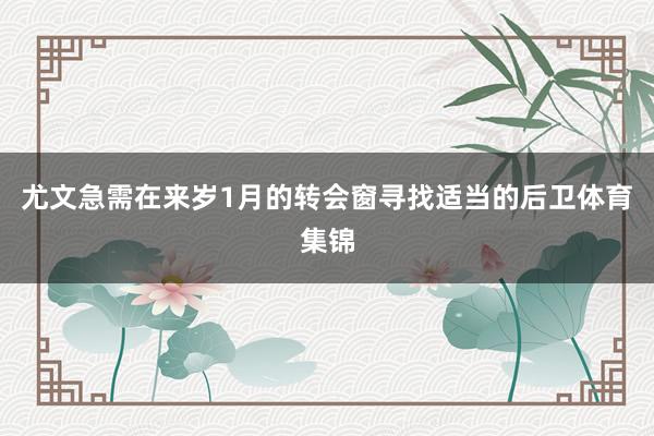 尤文急需在来岁1月的转会窗寻找适当的后卫体育集锦