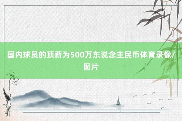 国内球员的顶薪为500万东说念主民币体育录像/图片