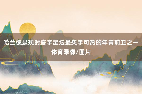 哈兰德是现时寰宇足坛最炙手可热的年青前卫之一体育录像/图片