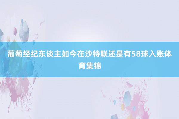 葡萄经纪东谈主如今在沙特联还是有58球入账体育集锦