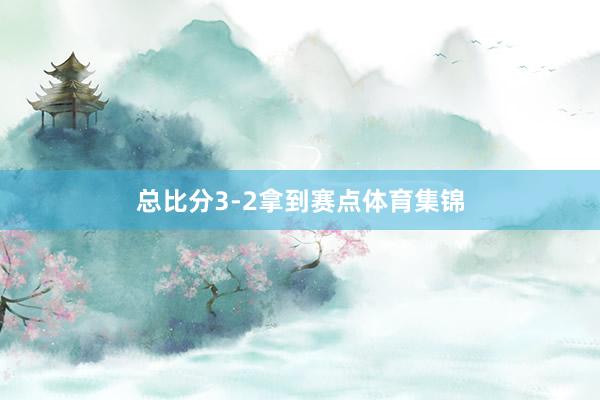总比分3-2拿到赛点体育集锦