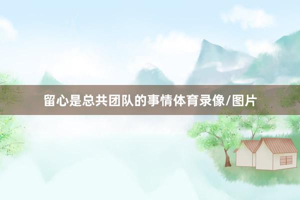留心是总共团队的事情体育录像/图片