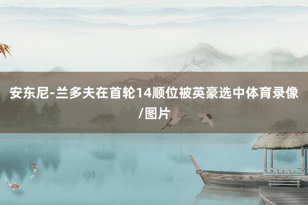 安东尼-兰多夫在首轮14顺位被英豪选中体育录像/图片