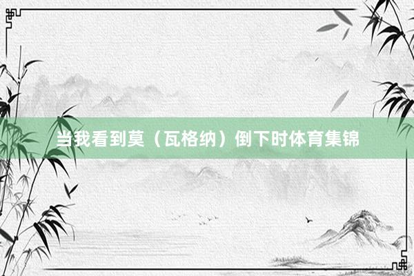 当我看到莫(瓦格纳)倒下时体育集锦