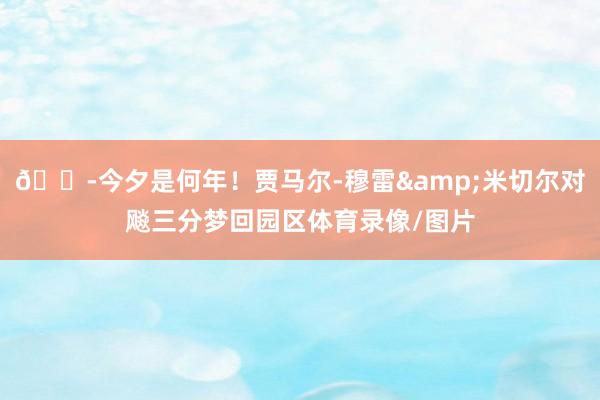 😭今夕是何年！贾马尔-穆雷&米切尔对飚三分梦回园区体育录像/图片