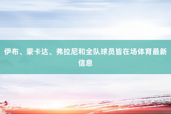 伊布、蒙卡达、弗拉尼和全队球员皆在场体育最新信息