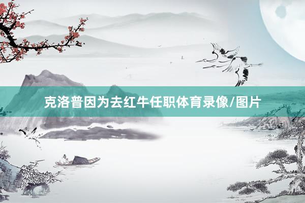 克洛普因为去红牛任职体育录像/图片