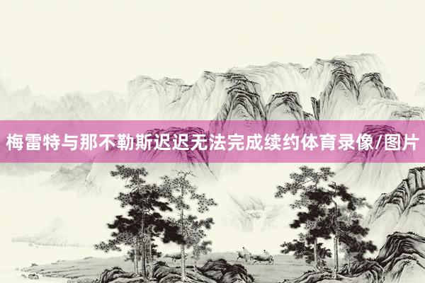 梅雷特与那不勒斯迟迟无法完成续约体育录像/图片