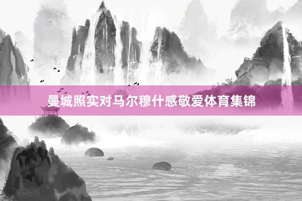 曼城照实对马尔穆什感敬爱体育集锦
