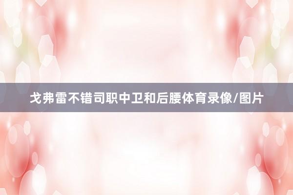 戈弗雷不错司职中卫和后腰体育录像/图片