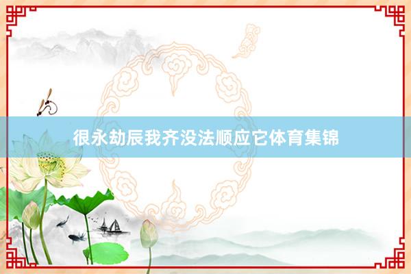 很永劫辰我齐没法顺应它体育集锦