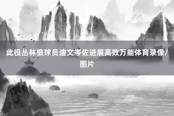 此役丛林狼球员迪文岑佐进展高效万能体育录像/图片